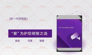 <span class=keywords><strong>Disque</strong></span> <span class=keywords><strong>dur</strong></span> mécanique 8 To, <span class=keywords><strong>disque</strong></span> violet dédié au stockage de données, 256 Mo de mémoire cache - Product Image 3