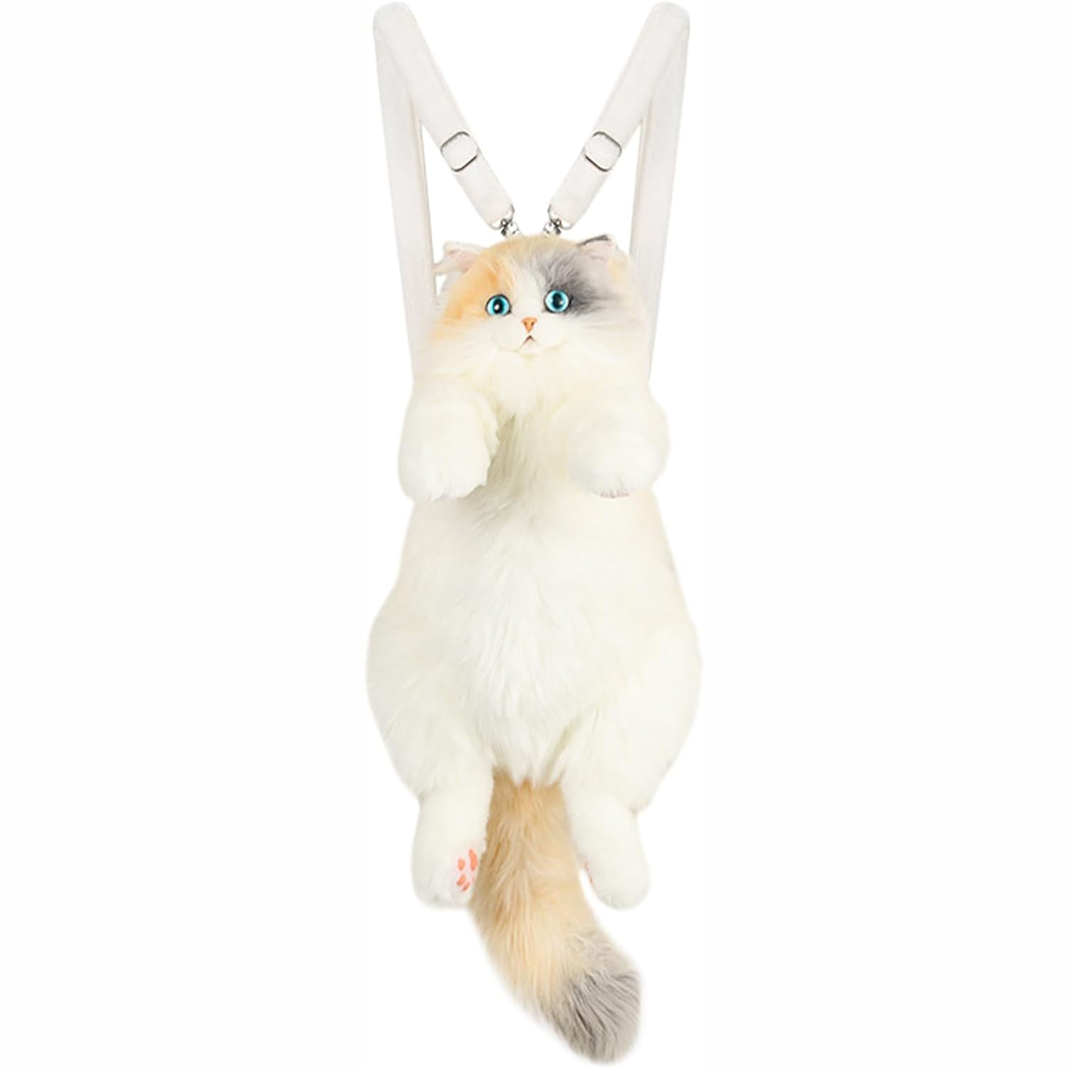 Ragdoll