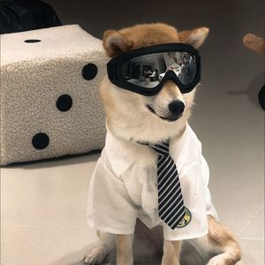 Occhiali Protettivi per Cani, Antivento, per Sport all'Aperto, Lenti a Specchio, Protezione Occhi per Cani di Taglia Media e Grande, per Passeggiate e Ciclismo - Product Image 2