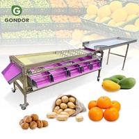 Sorteermachine voor kokosnoot, citrusvruchten, papaja, citroen, abrikoos, granaatappel, fruitgewichtsselectie, sinaasappelrollergrader, te koop voor kiwi.