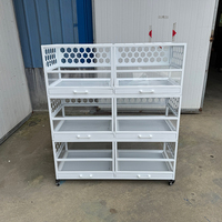 Cage à Cochon d'Inde Moderne en Verre Portable avec Plateau de Type Tiroir Facile à Nettoyer Utilisation Intérieure/Extérieure