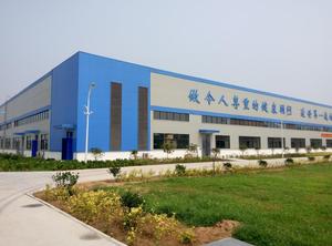 Curcuma calcio e vitamina D integratore alimentare per la salute delle articolazioni degli adulti e la forza ossea prodotto di bellezza per adulti sani - Product Image 6