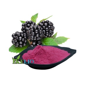 Siêu <span class=keywords><strong>Berry</strong></span> Blackberry bột trái cây bán sỉ Đen <span class=keywords><strong>Berry</strong></span> chiết xuất từ quả <span class=keywords><strong>berry</strong></span> đen bột trái cây - Product Image 1