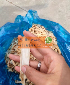 Equipo de Limpieza de Carne de Alta Calidad, Lavadora de Tripa de Res, Máquina para Lavar Tripa para Mataderos de Res - Product Image 2