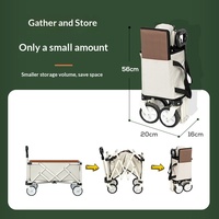 Mini chariot de camping pliable d'extérieur, chariot de courses portable, chariot de pique-nique pliable