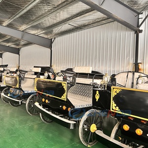 รถม้าชมวิวไฟฟ้าสำหรับหมู่บ้านพักตากอากาศ รถม้าชมวิวสุดหรูแบบกำหนดเอง ขายดี - Product Image 2