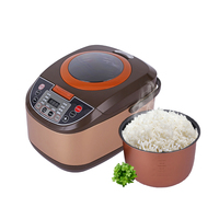 Cuiseur de riz électrique multifonctionnel, 5l, outil professionnel pour la maison, cuiseur de riz