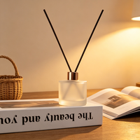 Bouteille diffuseur vide en verre dépoli 50 ml, vente en gros, flacon de luxe pour diffuseur à bâtonnets, pour la maison, en stock, décoration, logo personnalisé OEM