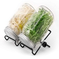 Kit de germination en verre borosilicate avec couvercle en maille d'acier inoxydable et support en acier thermolaqué, capacité 0,5-1L pour la maison