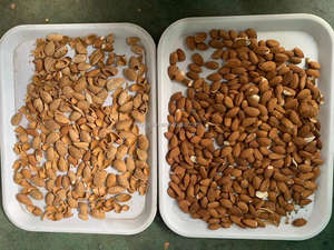 Clasificador Óptico <span class=keywords><strong>de</strong></span> Color CCD CT30 para Soja, Verduras, Almendras, Nueces, Trigo, Frutas, Maíz, Alta Capacidad 1-3TPH, 99.99% <span class=keywords><strong>de</strong></span> Precisión, para Bodegas y Panaderías - Product Image 6