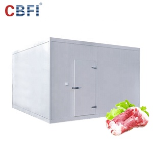 Commercial Freezer Commercial Food Meat Fish Cold Storage Refrigerator Blast Freezer Refrigeration Equipment For Sale