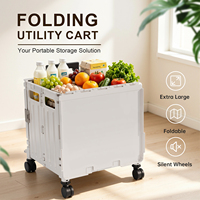 Chariot pliant personnalisé en plastique PP moulé par injection pour pique-nique, supermarché, bureau, rangement d'épicerie, organisation