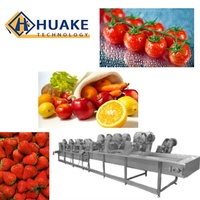 Industriële continue bubbelwasmachine, volautomatische reinigingsapparatuur voor bladgroenten, fruit en bessen