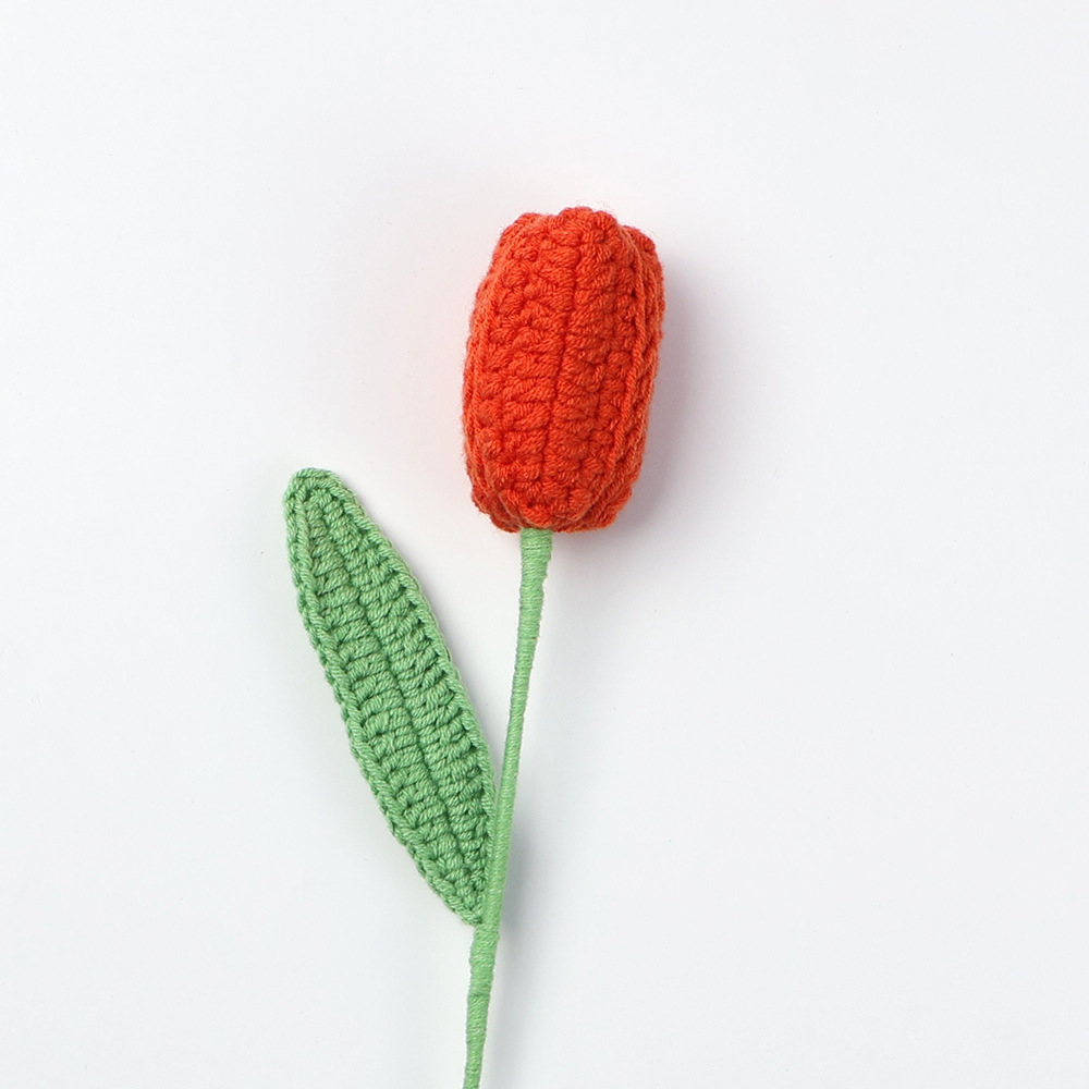 Tulipe orange, fini.