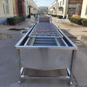 Çok Fonksiyonlu Büyük Meyve Sebze Kabarcık Yıkama Makinesi, Zencefil Bitkisel İlaçları için Sürekli Yüksek Basınçlı Püskürtme Özelliğiyle - Product Image 2