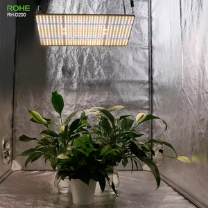 Lampu Tumbuh LED Spektrum Penuh ROHE 200W, Dapat Diredupkan, Saklar IR, Efisiensi Tinggi untuk Tanaman Hidroponik Dalam Ruangan, Tenda Tanam - Product Image 5