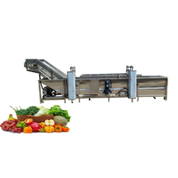 Fruitwas- en sorteermachine, geïntegreerd reinigen, sorteren, verheffen, voor appels, citrusvruchten etc.