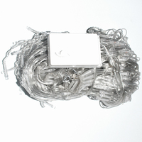 Guirlande lumineuse LED Paon 3,0 m IP44 en filet pour extérieur, maison, mariage, fête, éclairage décoratif de Noël
