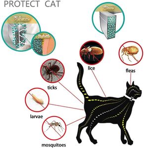 Collare Antipulci e <span class=keywords><strong>Antizecche</strong></span> <span class=keywords><strong>per</strong></span> Cani e <span class=keywords><strong>Gatti</strong></span> - Inodore, Resistente all'Acqua, Protezione <span class=keywords><strong>per</strong></span> 8 Mesi, Lunghezza 38cm - Product Image 2