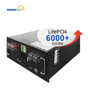 Rack Mount Solar Storage Systems 5Kw 10Kw 48V Lithium Ion Battery Lithium Ion Batteries 200Ah Lifepo4 Battery