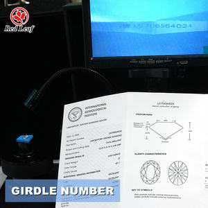 Anillos de Compromiso con Diamantes Cultivados en Laboratorio de 2CT a 5CT, Certificados por GIA e IGI, Corte Ovalado y Pera, Claridad VS VVS, Procesados con HPHT y CVD - Product Image 3