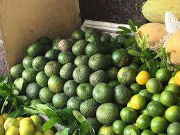 Naranjas Verdes de Vietnam al por Mayor en Grandes Cantidades - Product Image 4