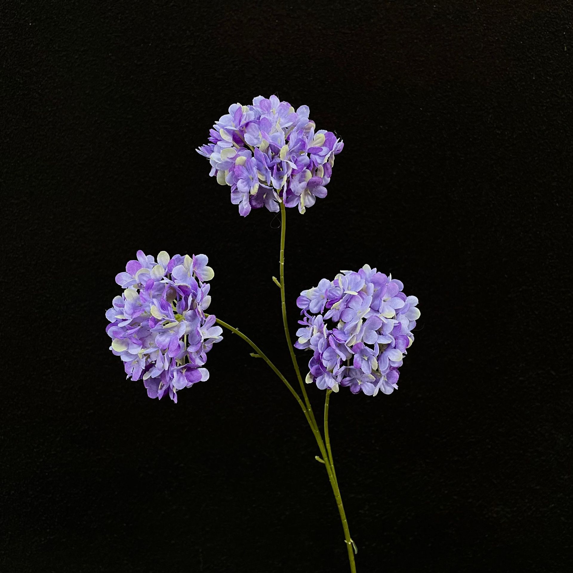Violet foncé-3 petits hortensias