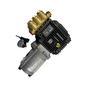 อะไหล่เครื่องกัด PN.2117460 ปั๊มทำความสะอาดแรงดันสูงสำหรับ W200 - Product Image 4