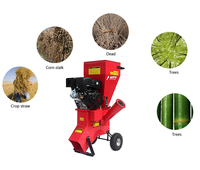 Broyeur de Branches et de Feuilles à Moteur Essence 13HP avec Pompe à Roulement, Déchiqueteuse de Bois pour Jardin et Foresterie