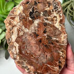 Plateau à thé en pierre minérale naturelle 500-700g, tranche de cristal brut, sous-verres en bois pétrifié, dalle fossile - Product Image 1