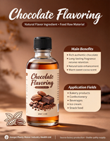 Arôme de chocolat concentré pour l'alimentation, vente en gros pour les fabricants de boissons, pâtisseries, confiseries et produits laitiers