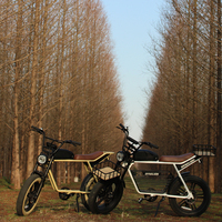Vélo électrique à gros pneus, moteur arrière 48V, batterie lithium interchangeable 16Ah, vélo tout-terrain électrique