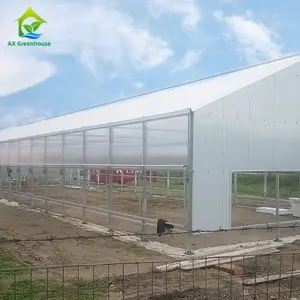 Hot Dip Galvanized Agricultural Multi-span Low Cost Polycarbonate Panels Tomatoes Greenhouse PC For Plants