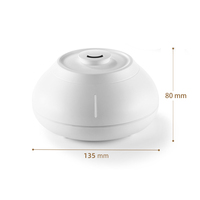 Portable 130ml étiquette personnelle purificateur d'air humidificateur huile essentielle diffuseur d'arôme pour hôtel ménage voiture utilisation en plastique