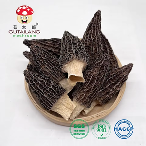Morilles séchées en usine, Morchella Esculenta séchée, certifiées BRC, <span class=keywords><strong>prix</strong></span> du marché pour les champignons - Product Image 2