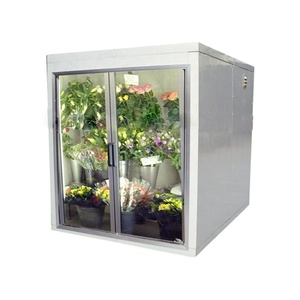 Expositor de puerta de cristal con flores, cámara fría, 2 puertas, enfriador para caminar - Product Image 1