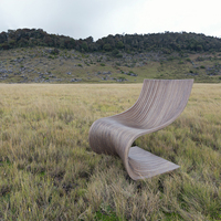 Chaise de loisirs moderne de forme unique Chaise d'appoint au design minimaliste Fauteuil en bois massif pour la maison Hôtel