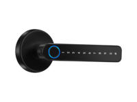 Serrure de porte électrique biométrique TTlock Tuya avec cylindre à clé C pour portes en bois avec poignée de porte Cloud Wi-Fi