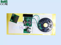 Módulo de Chip de Sonido Personalizado para Juguetes con Voz, Música y Tarjetas de Felicitación