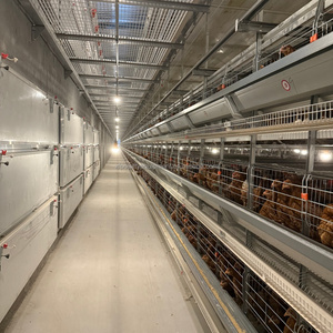 <span class=keywords><strong>Vente</strong></span> directe usine : Nouvelles cages automatiques pour poules pondeuses <span class=keywords><strong>en</strong></span> acier galvanisé à chaud de type H - Product Image 1