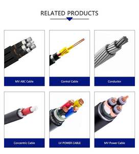 Cable de Alta Tensión con Aislamiento XLPE, Cable de Alimentación Blindado con Núcleo de Cobre para Transmisión Industrial y Sistemas de Redes Energéticas - Product Image 6