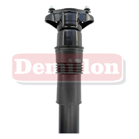 Demillon 2513200631 2513201431 Luftfederung Stoßdämpfer Hinterer Stoßdämpfer für Benz R-KLASSE W251 V251