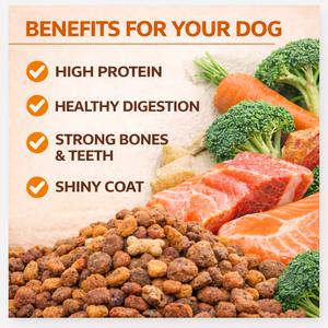 Alimento Seco para Perros con Alto Contenido de Proteínas, Empaquetado a Granel, Venta al por Mayor para Tiendas de Mascotas - Product Image 4