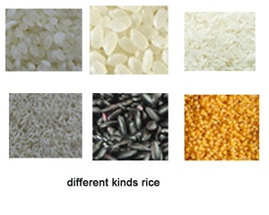 Chất lượng cao 192 kênh nỏ quang phân loại máy động cơ lõi sản xuất Ngô gạo Ngô separator cho gạo Mill - Product Image 5