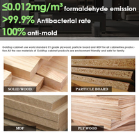 Meuble de cuisine modulaire de luxe moderne en bois écologique Goldtop avec robinet intégré, prêt à assembler, pour garde-manger