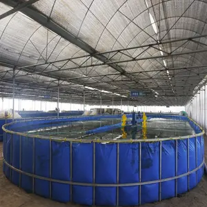 Stör Fischzucht Rezirkulation Aquakultur system Indoor Ras Stör Ausrüstung