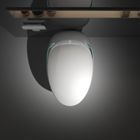 Inodoro Inteligente con Bidé y Secado con Aire Caliente, Lavado Posterior, Productos para el Hogar Inteligente, Inodoros Inteligentes, Venta al Por Mayor