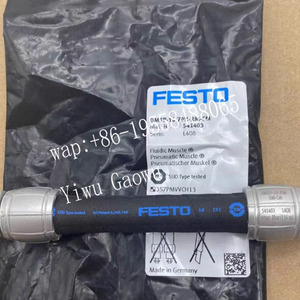 Musculatura Neumática Original FESTOS DMSP-10-80N-RM-CM 8114536 Tipo Universal de Grado Industrial - Product Image 4
