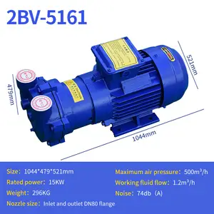 2 bv5161 20HP/15KW ad alta pressione monostadio aspirazione acqua Loop pompa per vuoto anello liquido compressore per vuoto testa della pompa