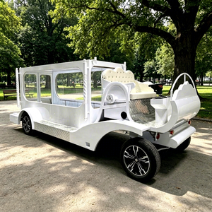 Véhicule funéraire électrique blanc personnalisé de haute qualité, le plus populaire en usine, avec finition peinture 3K et sièges en cuir - Product Image 1